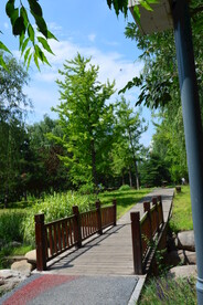 公园风景 