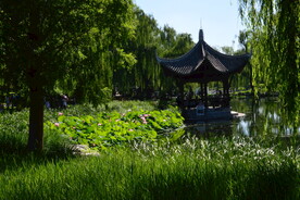 公园风景 