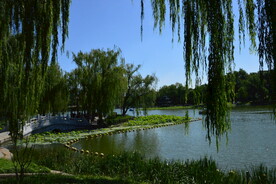 湖水风景 