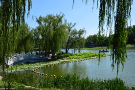 公园风景  