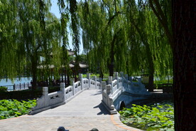 公园风景 