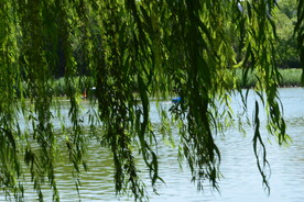公园风景 