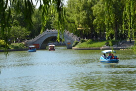 公园风景 
