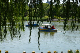 公园风景 
