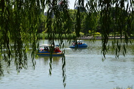 湖水风景 