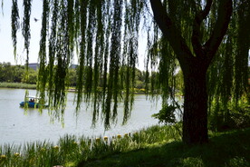 公园风景 