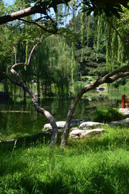 湖水风景 
