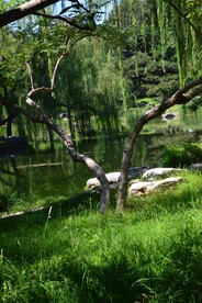 公园风景  