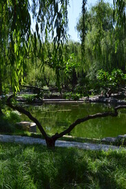 公园风景  