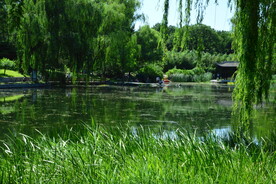 公园风景 