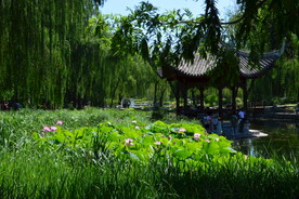 公园风景  