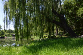 公园风景  
