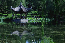 公园风景 