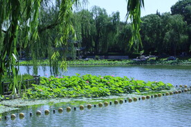 公园风景  