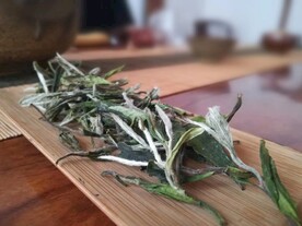 福鼎白茶白牡丹干茶