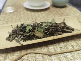 福鼎白茶贡眉干茶