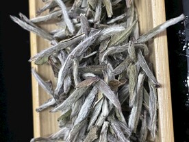 福鼎白茶白毫银针干茶