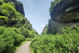 武夷山景区三坑两涧慧苑坑