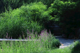 公园风景  