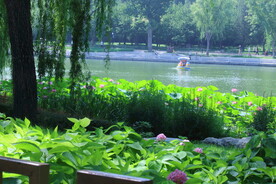 公园风景 