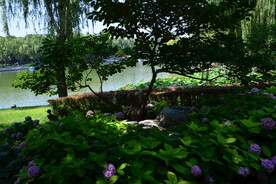公园风景 