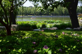 公园风景  