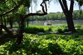 公园风景  