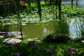 公园风景 