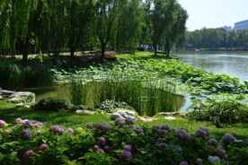 公园风景  