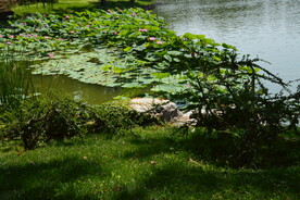 公园风景  