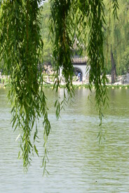 公园风景 
