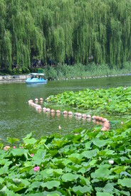 公园风景 