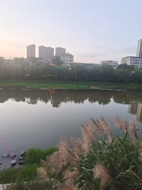 河边风景
