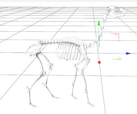 C4D模型 恐龙骨头