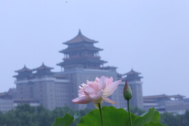 公园风景  