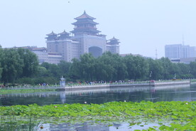 公园风景  