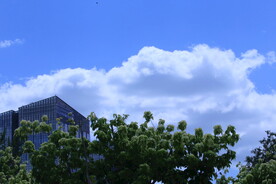 公园风景  