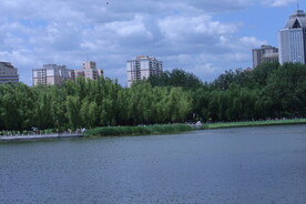 公园风景  