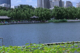 公园风景  