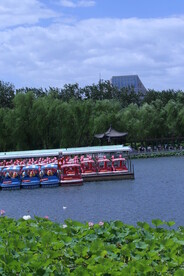 公园风景  