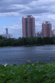 公园风景 