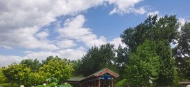 公园风景 