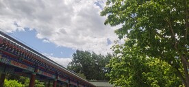 公园风景 