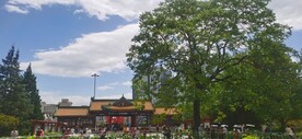 公园风景  