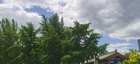 公园风景 