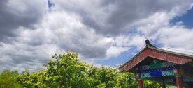 公园风景  