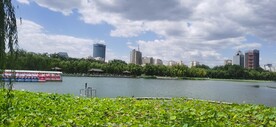 公园风景 