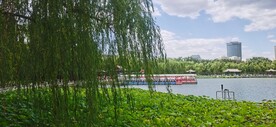 公园风景 
