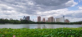 公园风景 