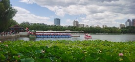公园风景  